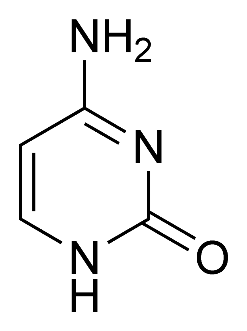 800px-Cytosine_chemical_structure