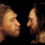 neandertal-sapiens